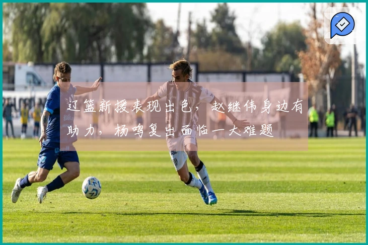 辽篮新援表现出色，赵继伟身边有助力，杨鸣复出面临一大难题