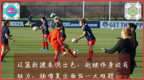 辽篮新援表现出色，赵继伟身边有助力，杨鸣复出面临一大难题