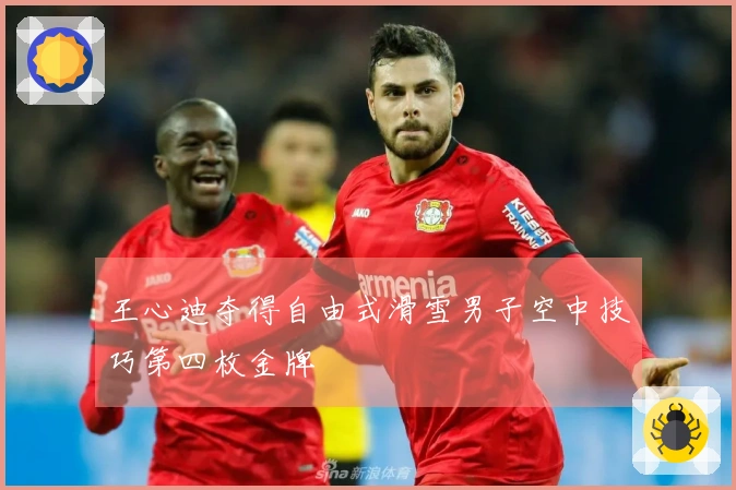 王心迪夺得自由式滑雪男子空中技巧第四枚金牌