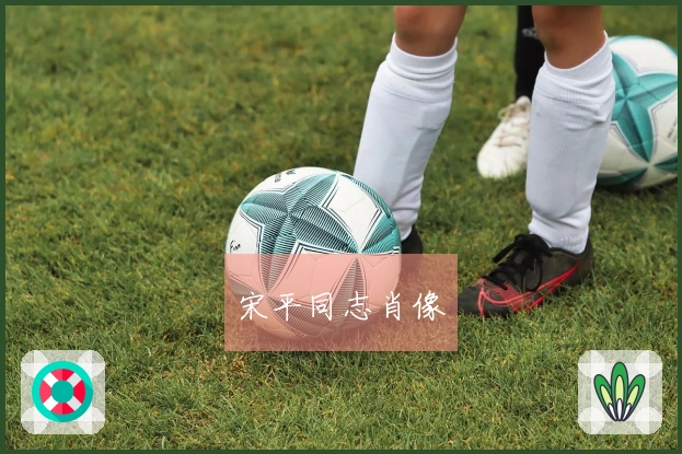 宋平同志肖像